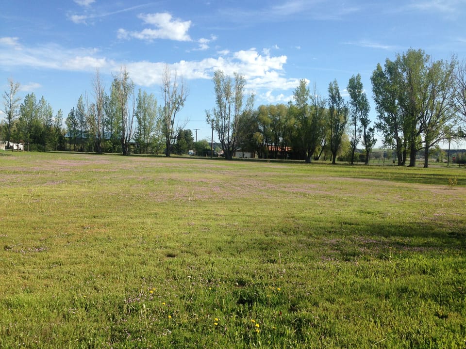 Large field on the north side of the school- plenty of room for fun and games!