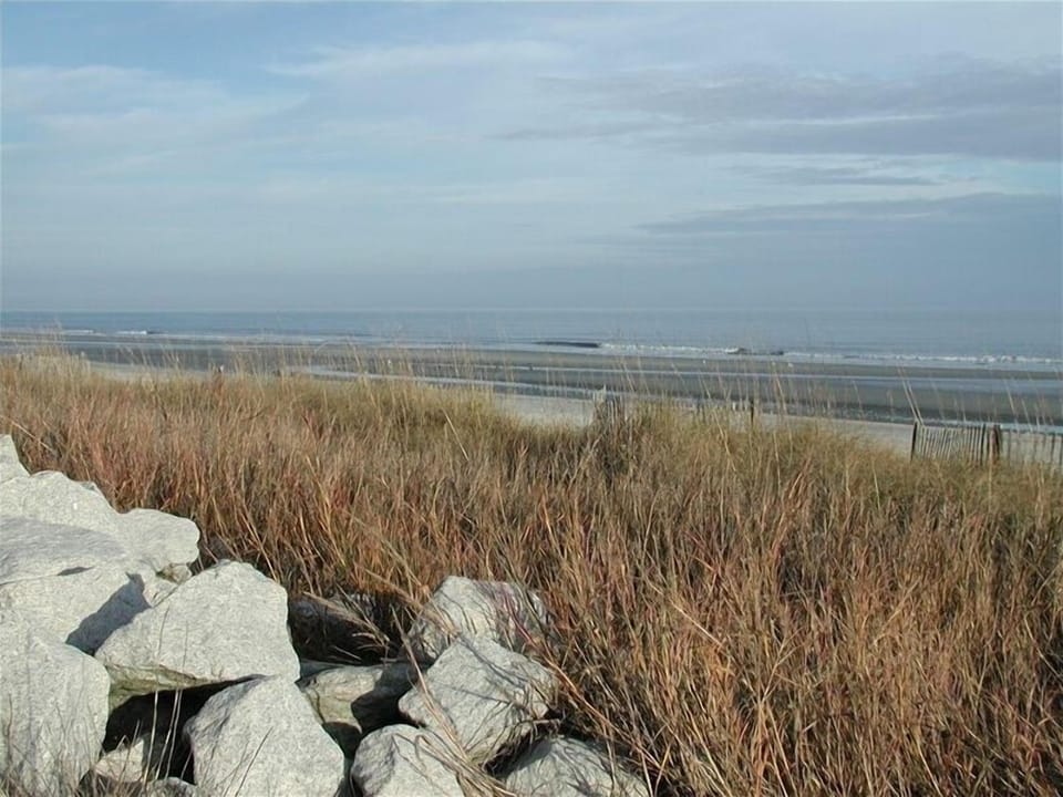 The Beach