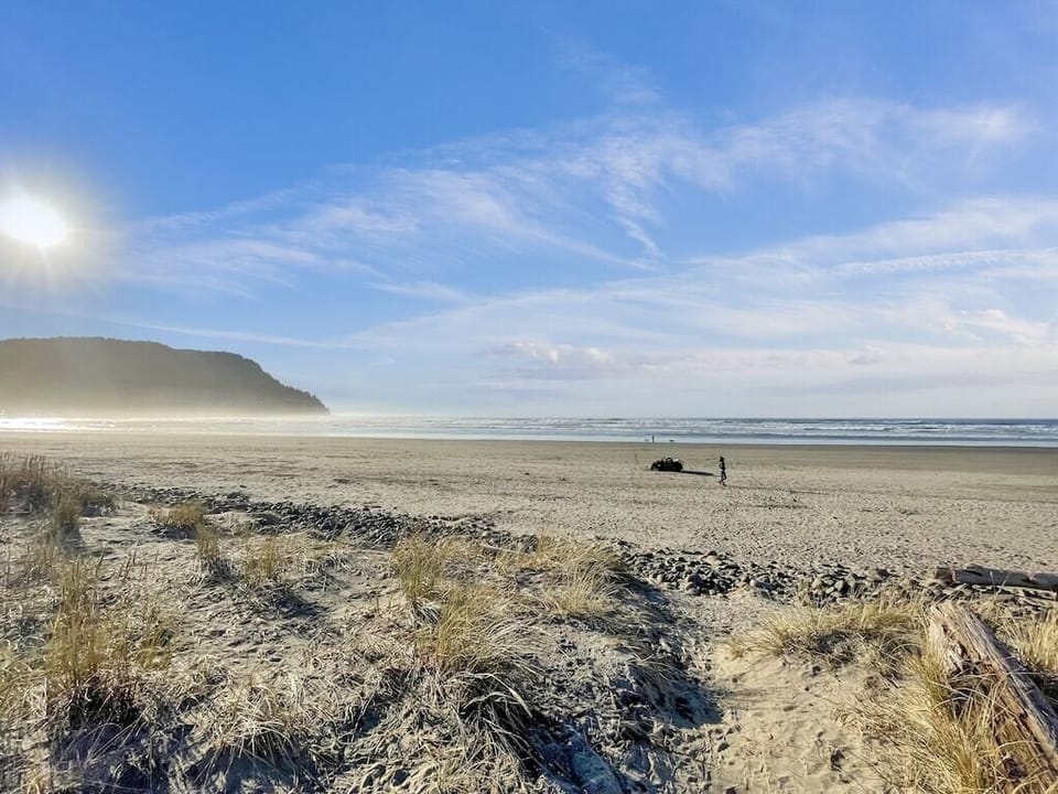 Tillamook Head and the beach less than 50 yards right out our back door.