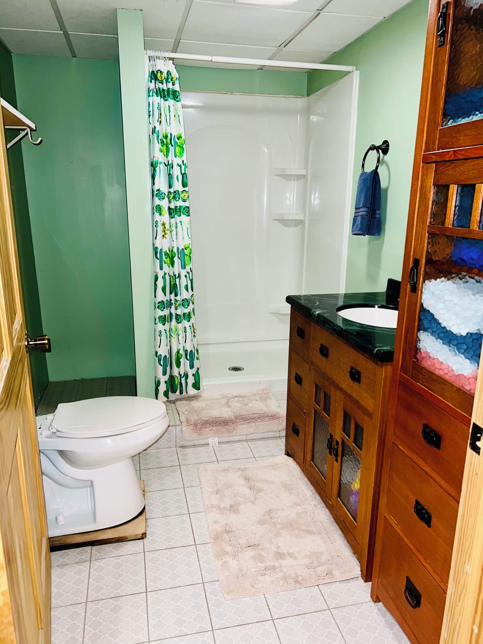 Lower level full bathroom