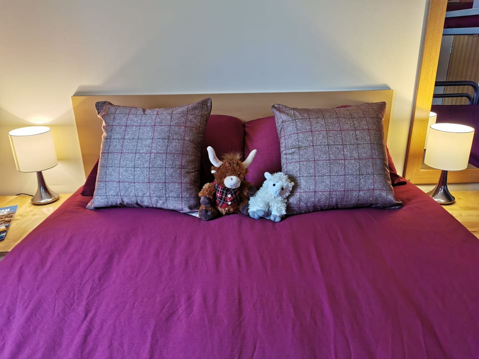 Double or Twin Room, Private Bathroom | Hypo-allergenic bedding, free WiFi, bed sheets