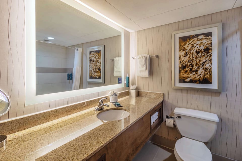 Combined shower/tub, free toiletries, hair dryer, towels