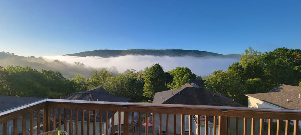 January 20, 2025, view of the snow