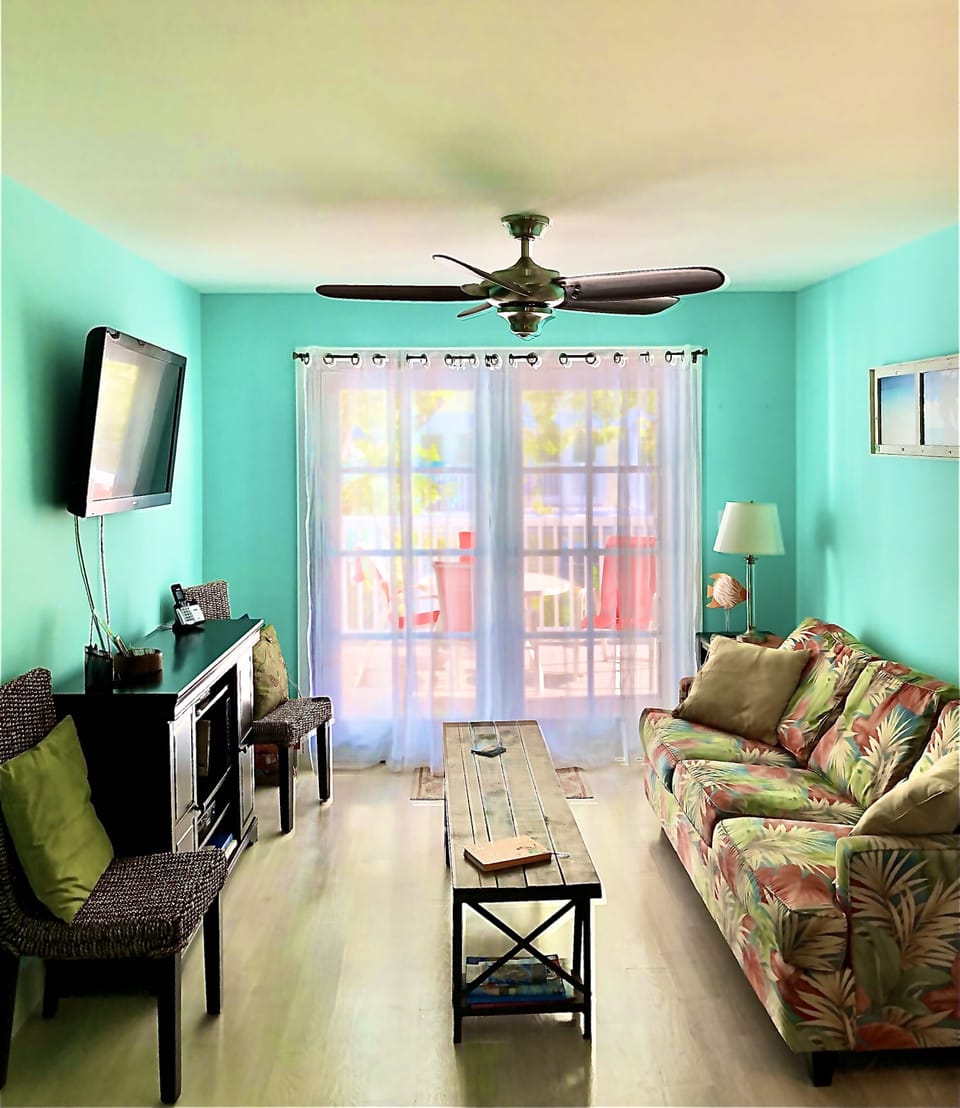 Living Area - Living area has Queen sofa bed and TV