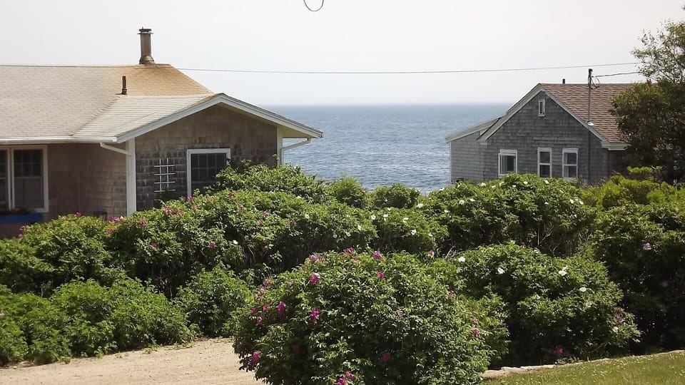 View from livingroom