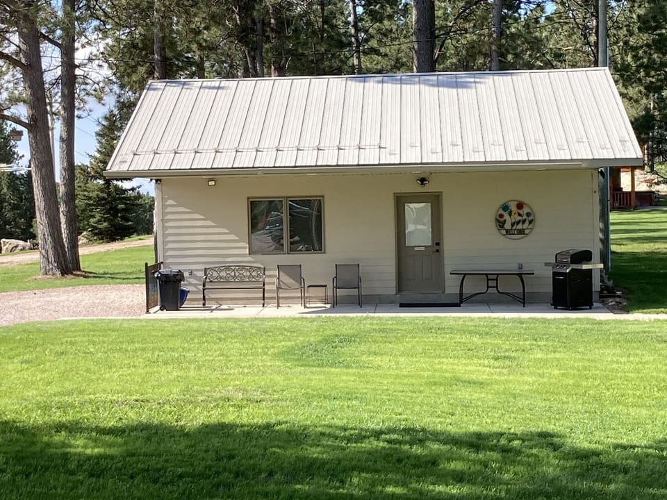 Lounge chairs and grill under the overhang