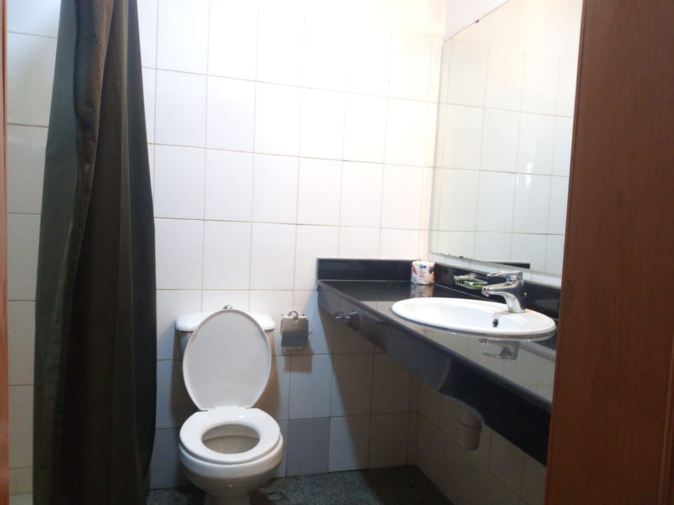 Deluxe Room | Bathroom | Shower, towels, soap, toilet paper