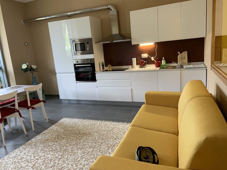 Business Apartment (Apartment Suite B3b) | Living area | 20-inch flat-screen TV with satellite channels, TV