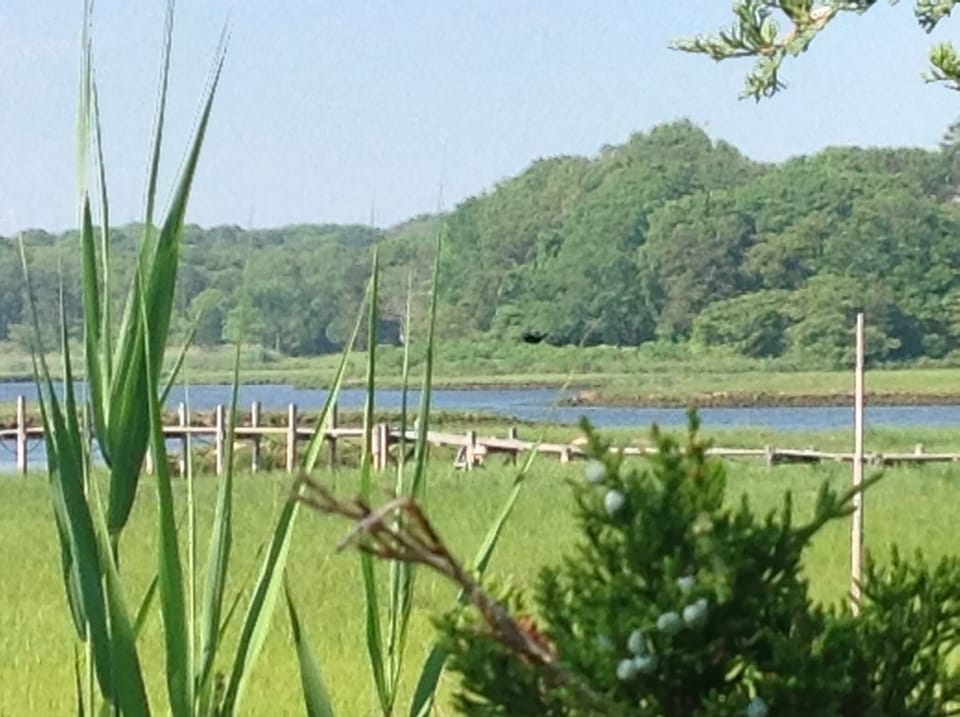 Dock looking NE--there may be another home tucked away in there