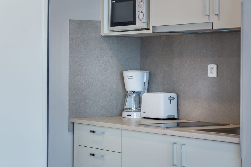 Deluxe Apartment  | Private kitchen | Fridge, electric kettle