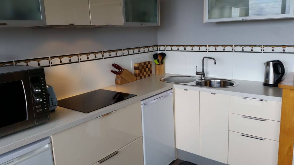 Panoramic Apartment, 1 Bedroom | Private kitchen | Full-size fridge, microwave, stovetop, toaster