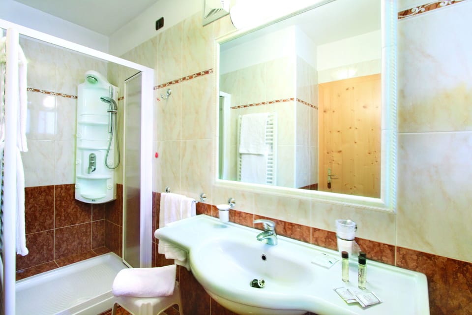 Shower, free toiletries, hair dryer, bidet