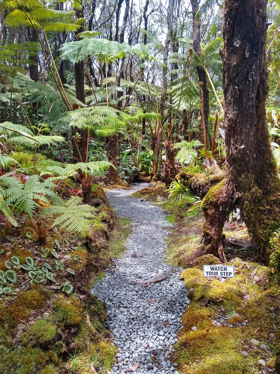 Hiking