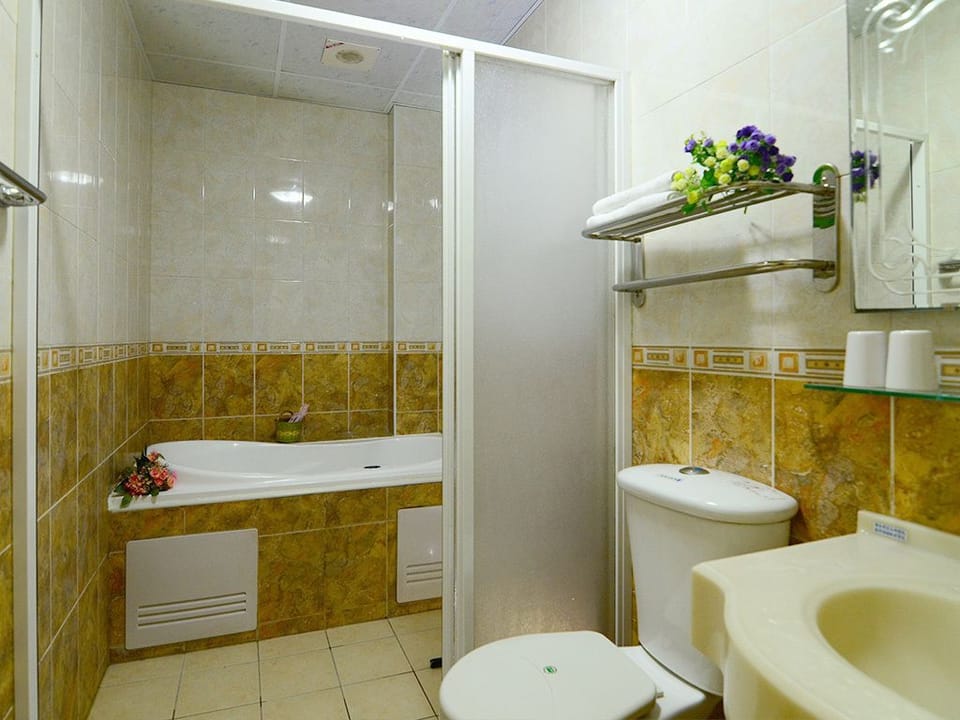 Free toiletries, hair dryer, slippers, towels
