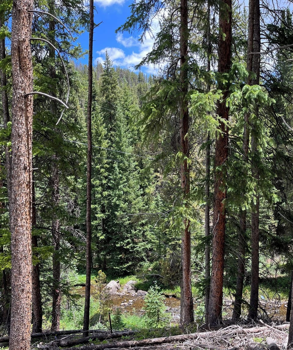 Your view from the Trail and River Seating