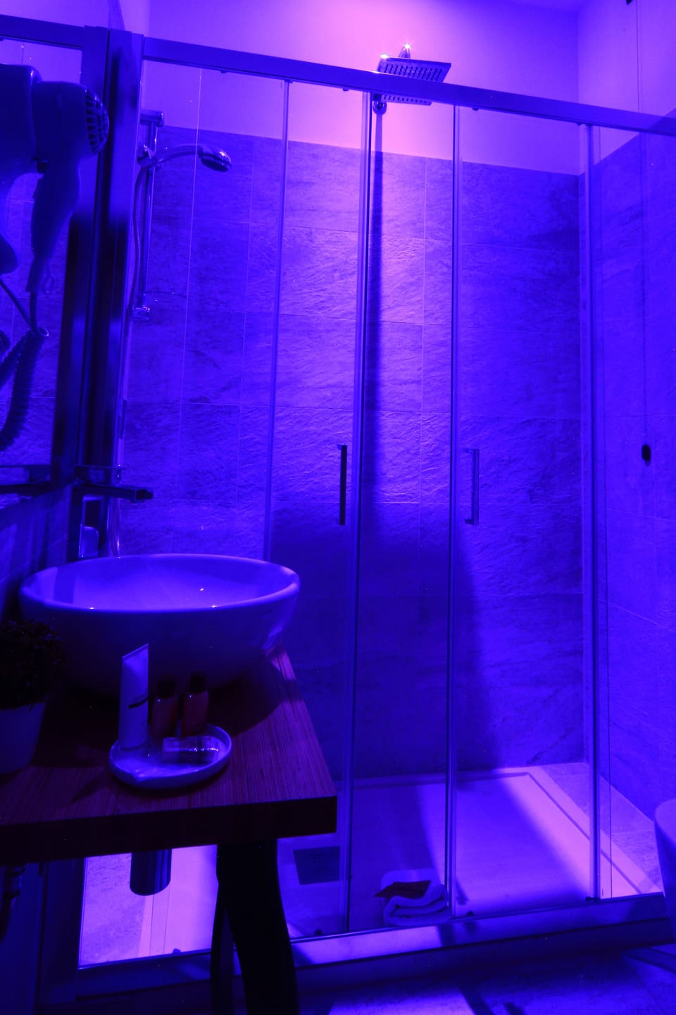 Double Room | Bathroom shower