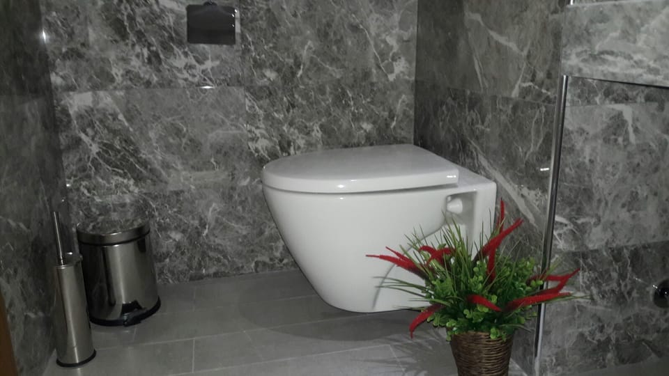 Shower, free toiletries, hair dryer, slippers