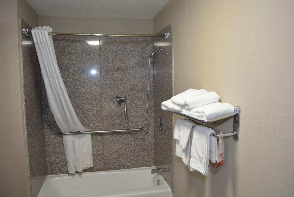 Free toiletries, hair dryer, towels