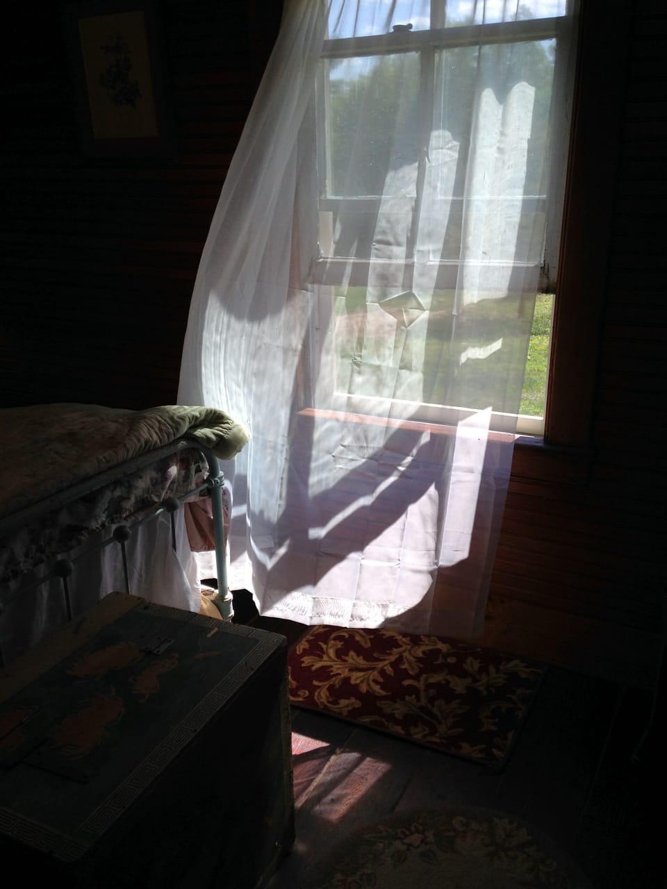 Lazy summer afternoon 
