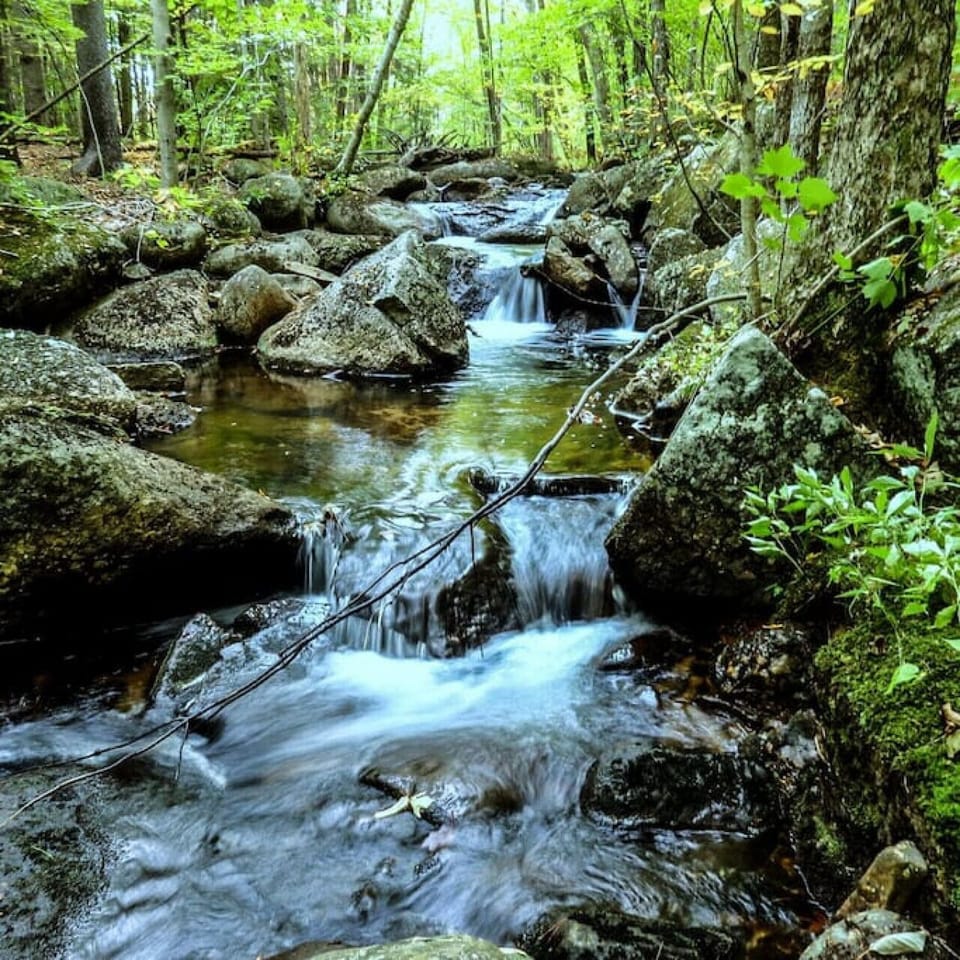 walk the brook on property