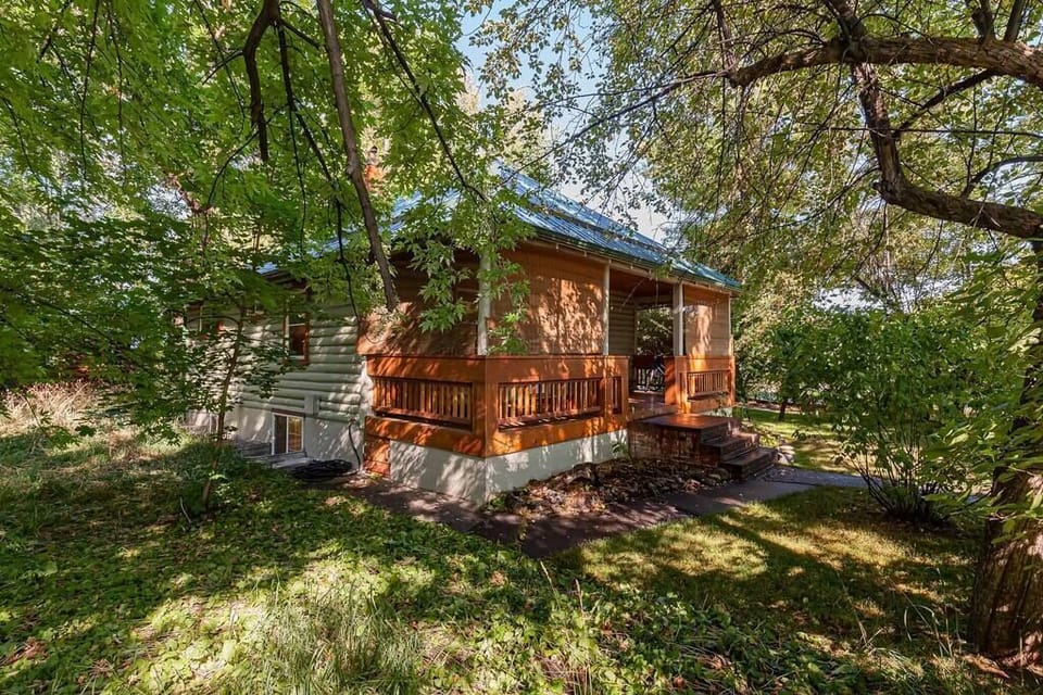 The Cabin is surrounded by large trees and plants