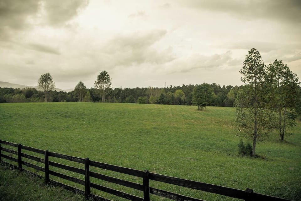 Scenic horse property in nearby Mill Spring