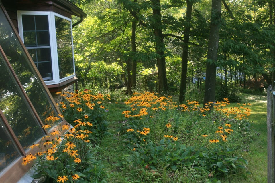 summer's gardens