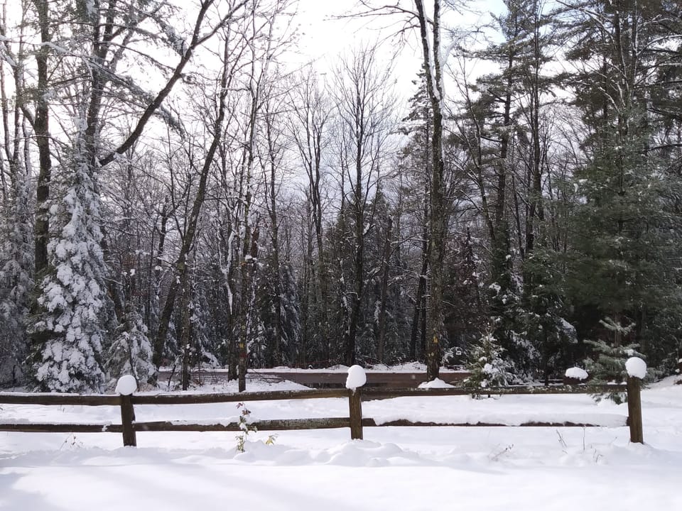 View from yard to road