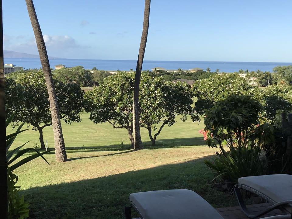 Ocean View from living room