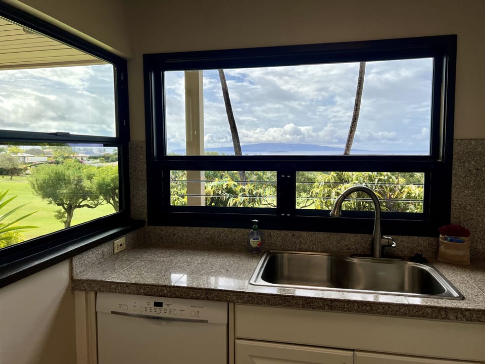 View from the Kitchen