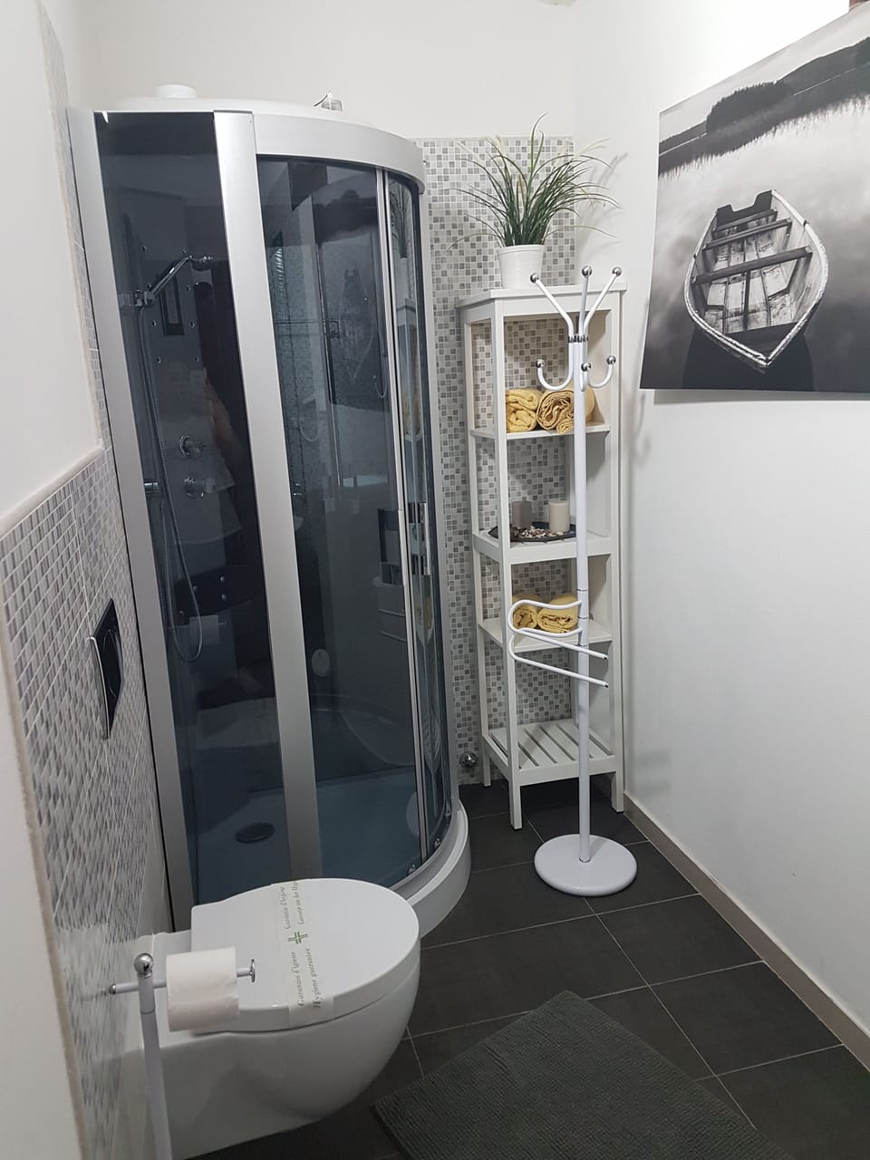 Shower, hair dryer, bidet, towels