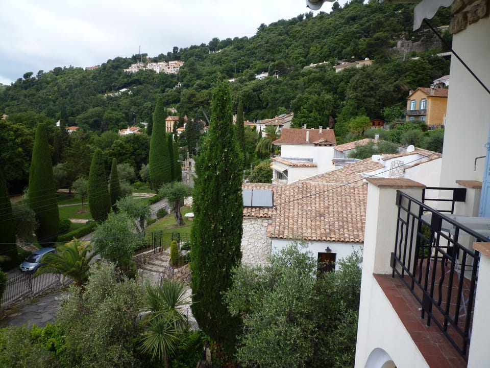 from one of the bedrooms: centenary trees, lush vegetation