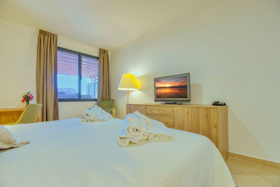 Superior Double Room (Located under restaurant zone) | Hypo-allergenic bedding available, down comforters, minibar