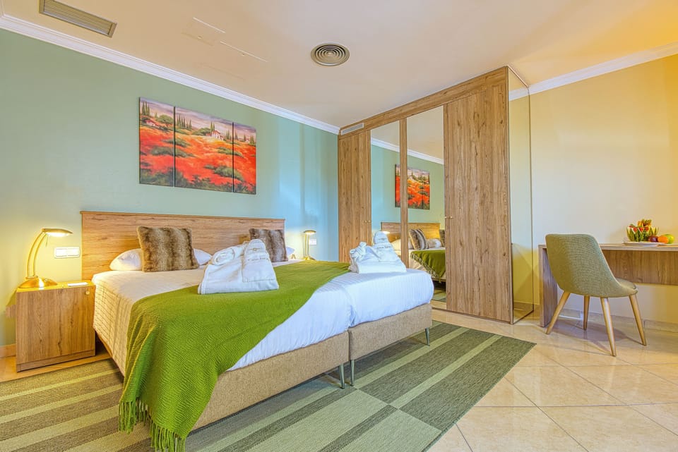 Standard Double Room (Located in garage zone) | Hypo-allergenic bedding available, down comforters, minibar