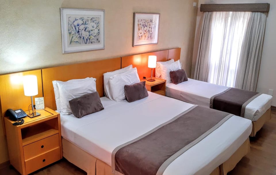 Minibar, desk, blackout drapes, WiFi (free)