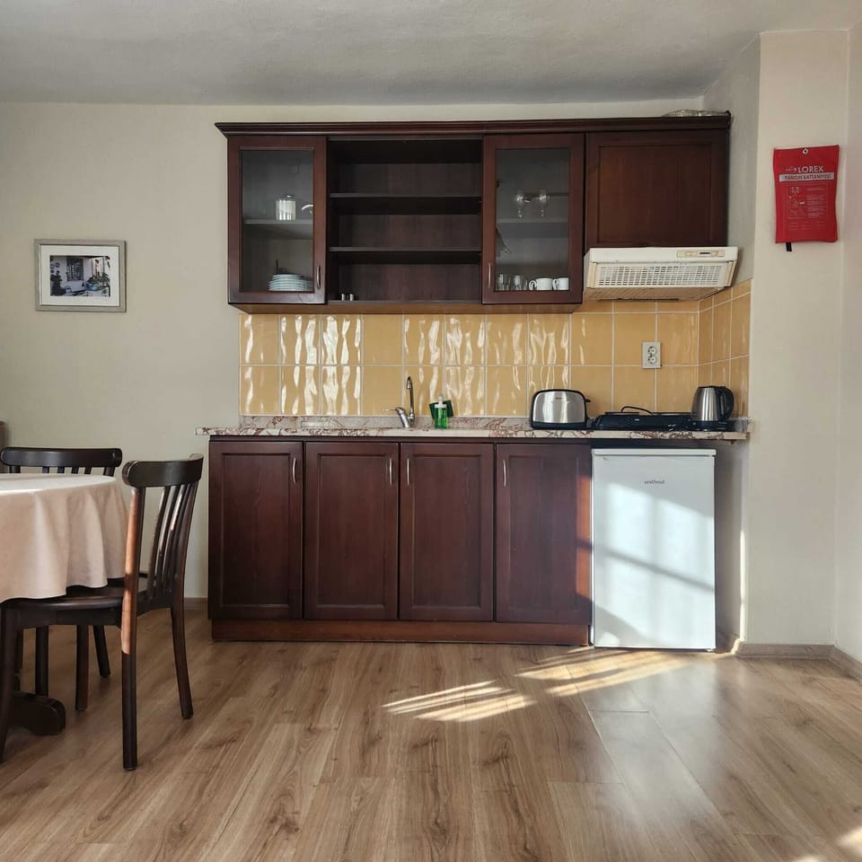 Standard Room | Private kitchen | Mini-fridge, stovetop, electric kettle, toaster