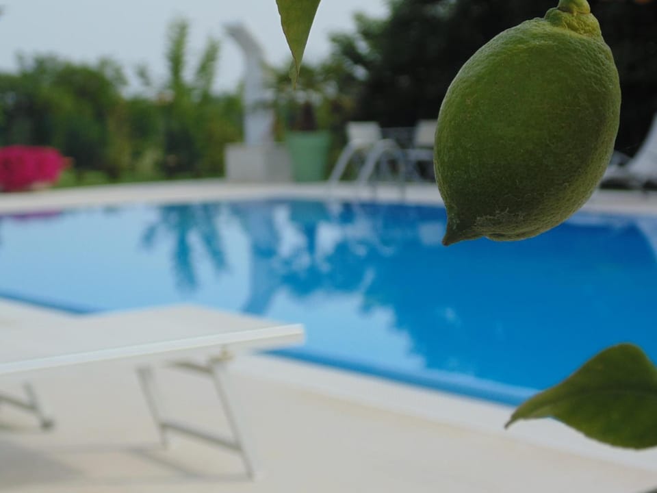 Outdoor pool, pool umbrellas, sun loungers