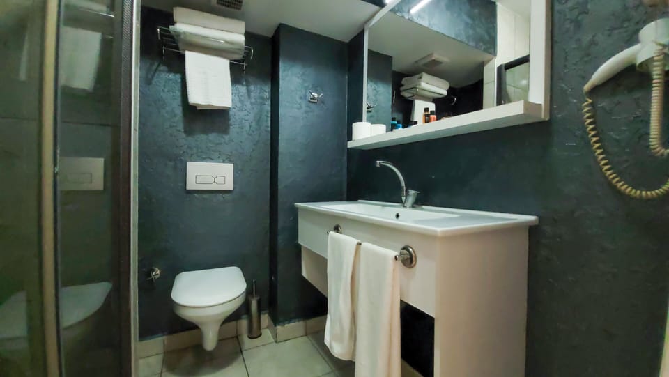 Shower, hair dryer, slippers, bidet