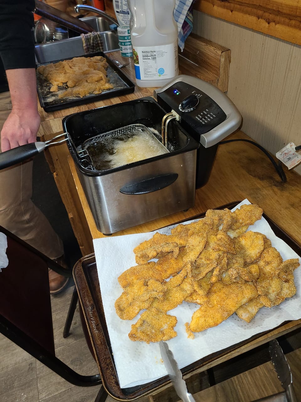 Fish fryer
