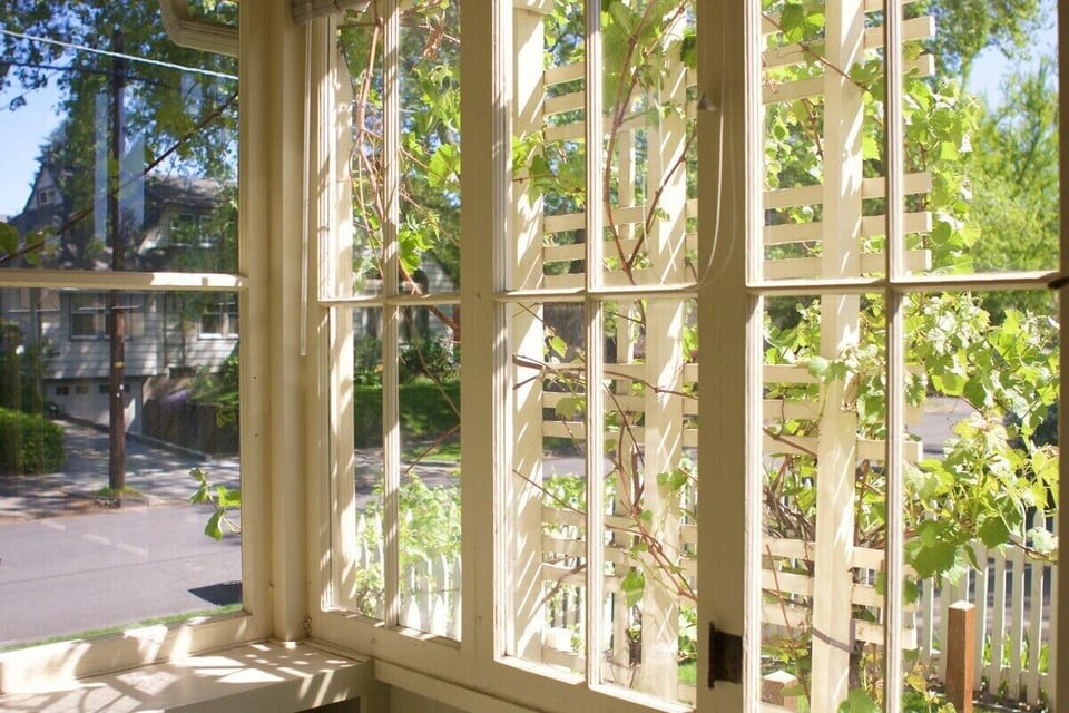 Sunny back porch.