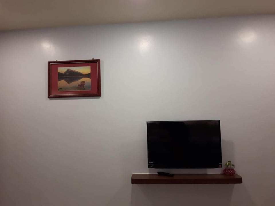 Television