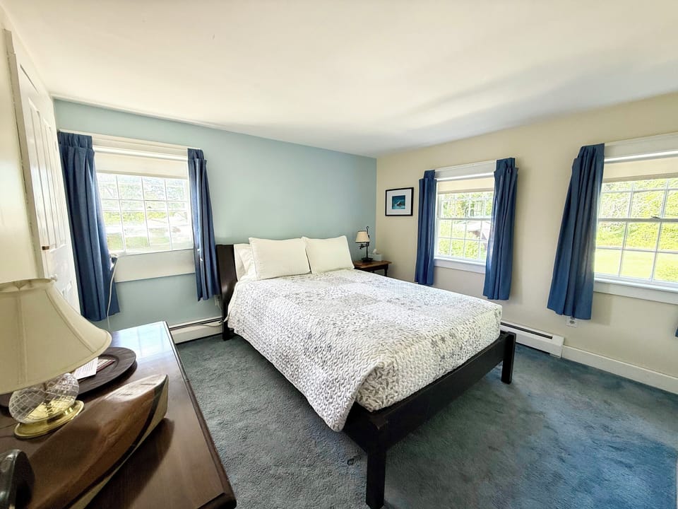 Room, 1 Queen Bed | Premium bedding, down comforters, iron/ironing board, free WiFi