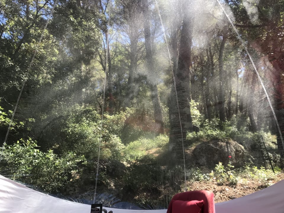 Harmony Bubble | View from room