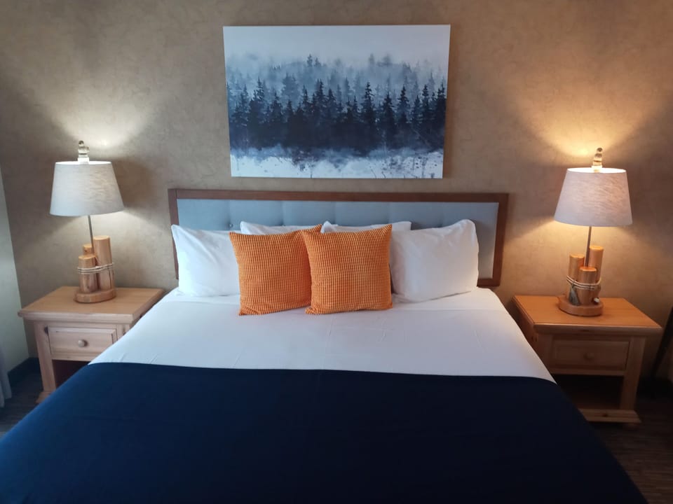 Traditional Single Room, 1 King Bed, Accessible, Lake View | WiFi (free), bed sheets