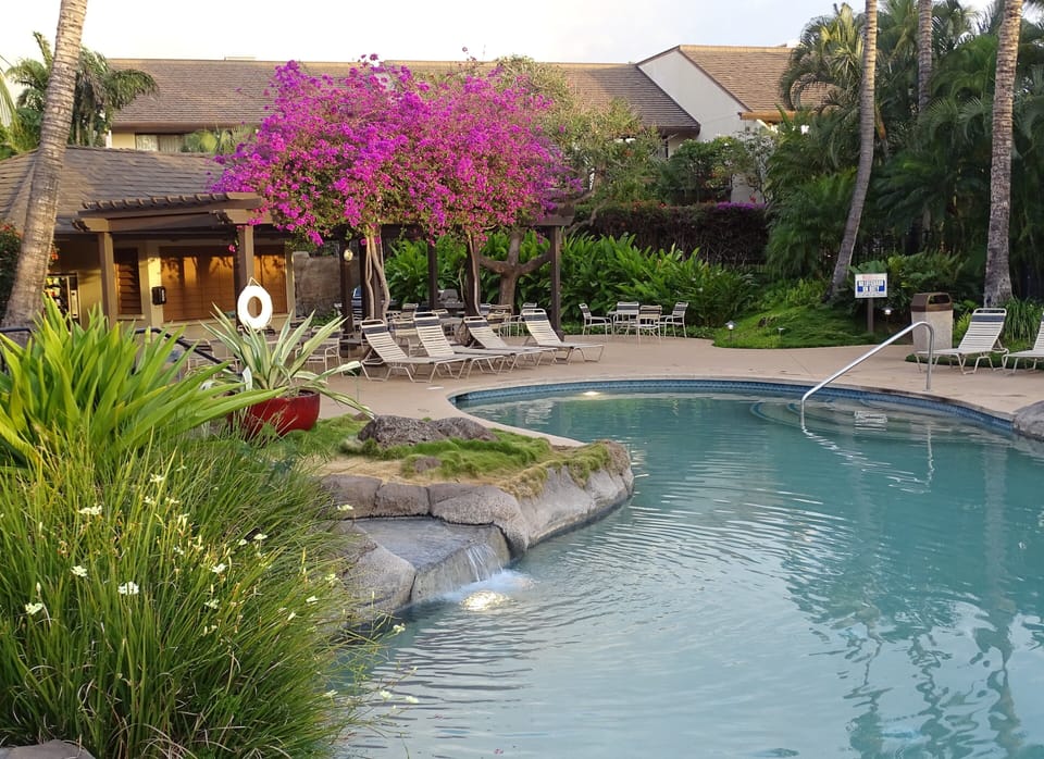 upper pool (behind our unit)