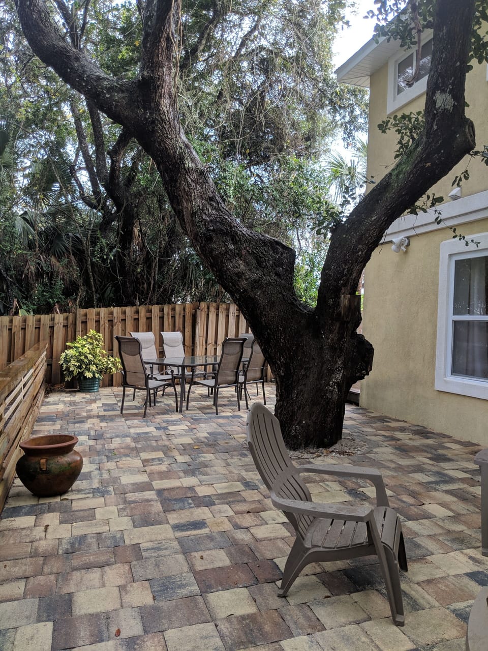 back yard with our gorgeous oak tree
