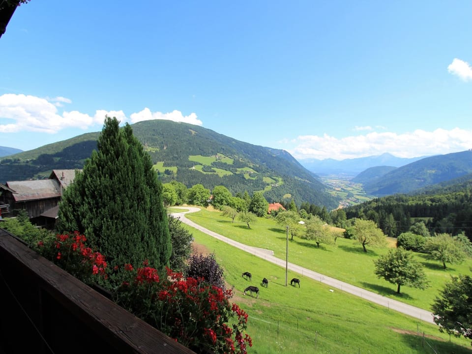 View from Holiday Home [summer]