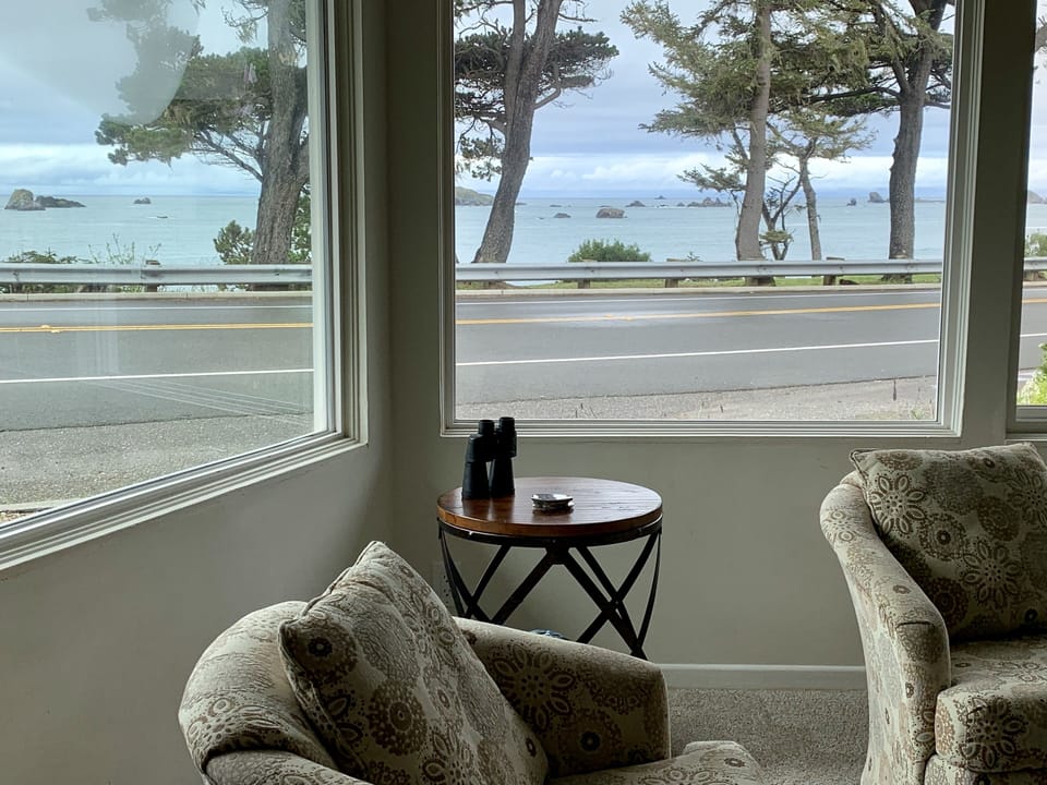 Living room with panoramic view 