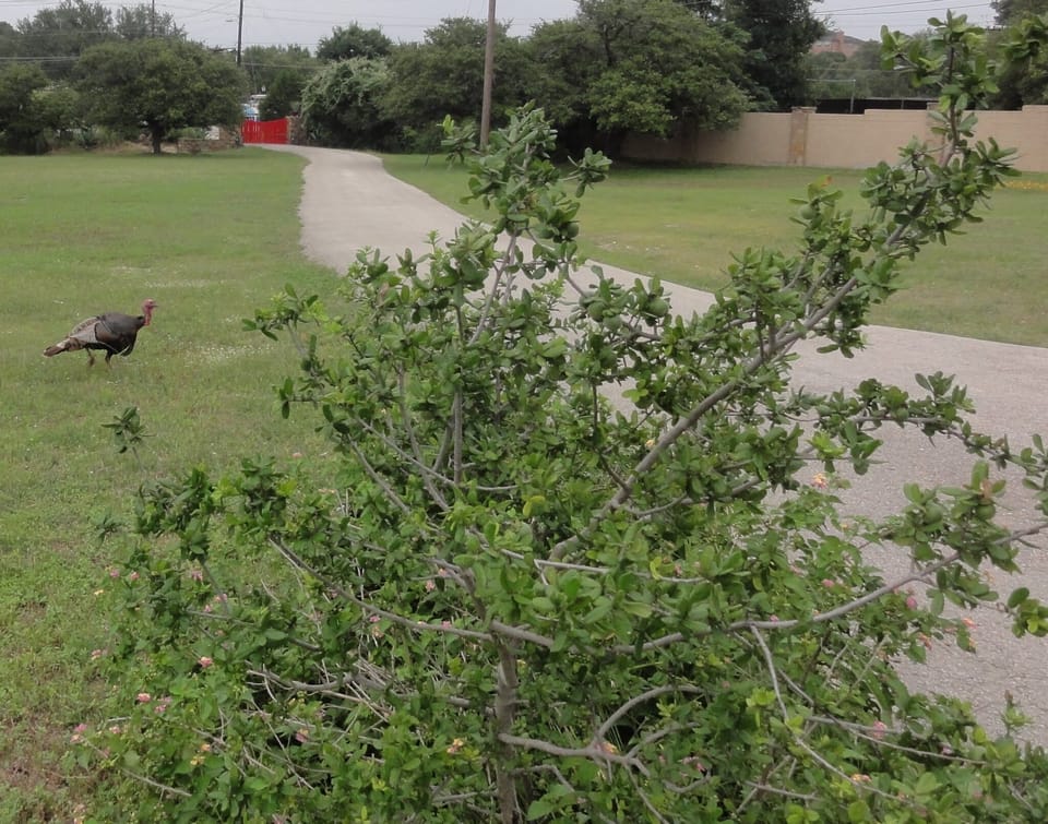 Look closely-wildlife.