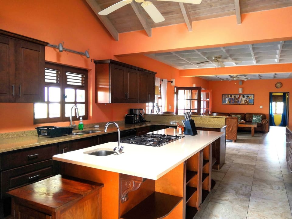 Family Apartment, 2 Bedrooms, Terrace, Ocean View | Private kitchen | Coffee/tea maker, fridge, microwave, oven